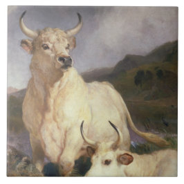 Wilde Kühe (Chillingham) Fliese