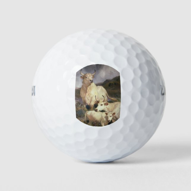 Wilde Kühe (Chillingham) Golfball (Vorderseite)