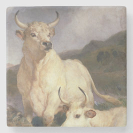 Wilde Kühe (Chillingham) Steinuntersetzer