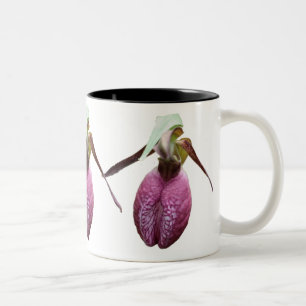 Wilde Lady Slipper Blume Foto Kaffee Tasse