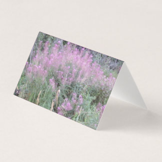 Wilde Lavendel Flora Brief Karten