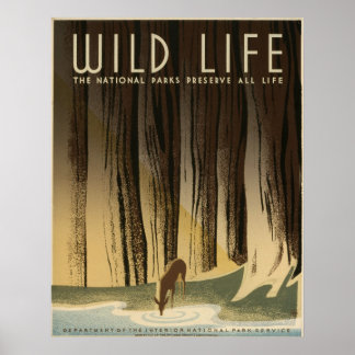 Wilde Leben Die Nationalparks bewahren das Leben Poster