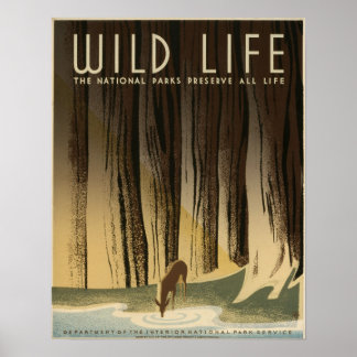 Wilde Leben Die Nationalparks bewahren das Leben Poster