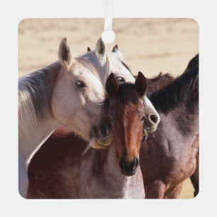 Wilde Liebe, Ornamente