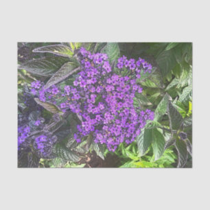 Wilde lila lila Blume Frühlingsgrün Seidenpapier