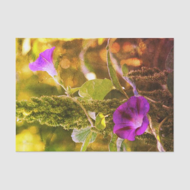 Wilde Lila Morning Glory-Blume Dekoupage Seidenpapier (Vorderseite)