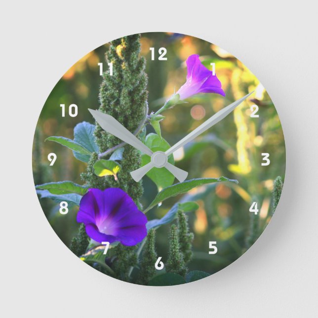 Wilde Lila Morning Glory Blume Runde Wanduhr (Vorderseite)