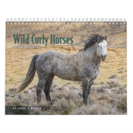 Wilde Lockenpferde von Salt Wells Creek Kalender