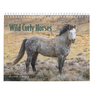 Wilde Lockenpferde von Salt Wells Creek Kalender