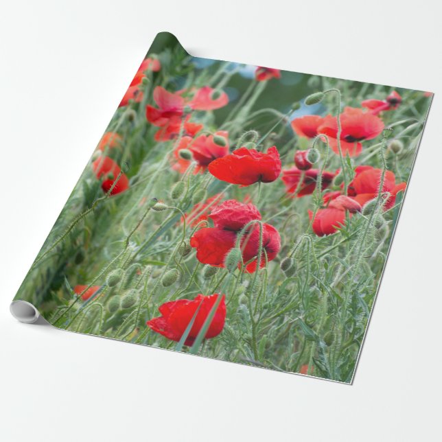 Wilde Mohn Geschenkpapier (Ungerollt)