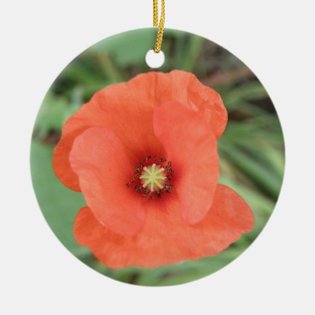 Wilde Mohnschmuck-Blume Keramik Ornament (Vorne)