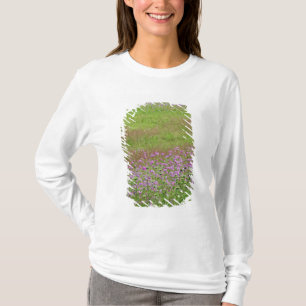 Wilde Möhre (Daucus carota) wächst T-Shirt