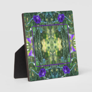 Wilde Morning Glory-Blume ergänzen Ihr eigenes Fot Fotoplatte