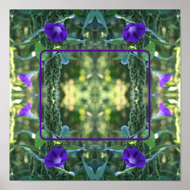 Wilde Morning Glory-Blume ergänzen Ihr Foto Poster