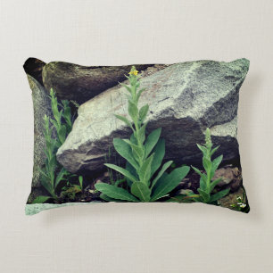 Wilde Mullein-Blume unter den Felsen Dekokissen