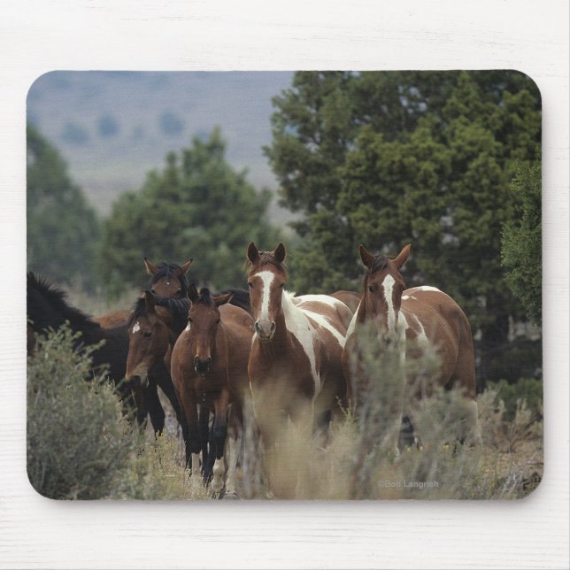 Wilde Mustang-Pferde 2 Mousepad (Vorne)