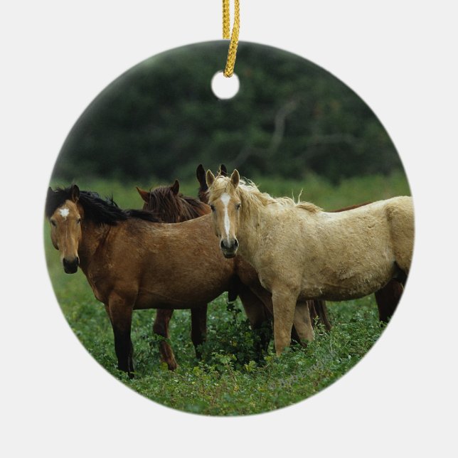 Wilde Mustang-Pferde 4 Keramik Ornament (Vorne)