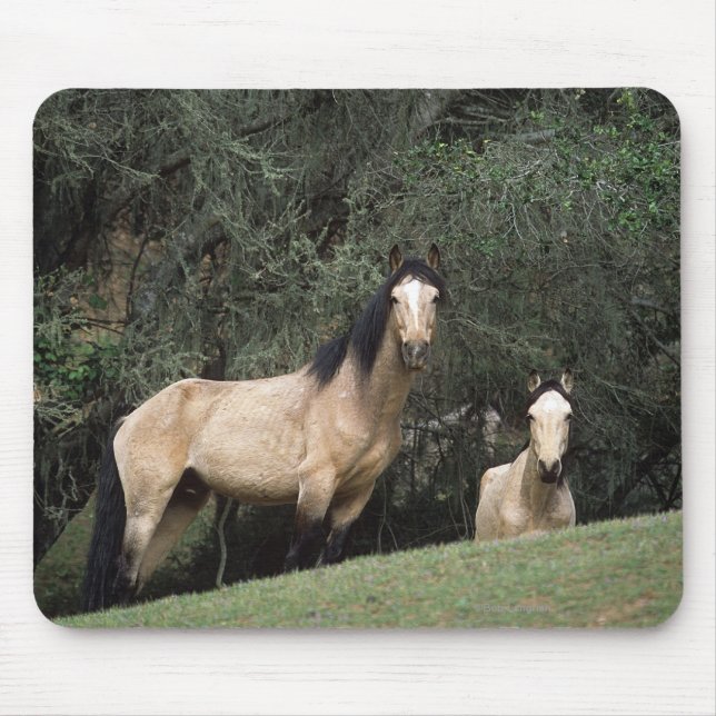 Wilde Mustang-Pferde 6 Mousepad (Vorne)
