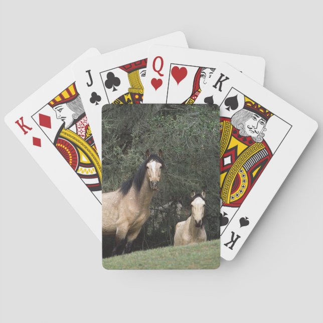 Wilde Mustang-Pferde 6 Spielkarten (Rückseite)