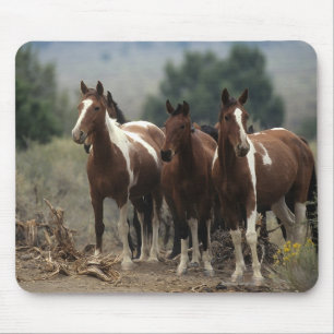 Wilde Mustang-Pferde 7 Mousepad