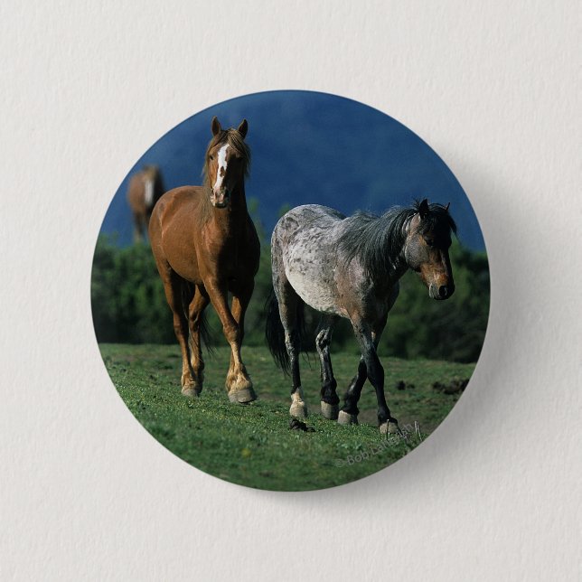 Wilde Mustang-Pferde Button (Vorderseite)