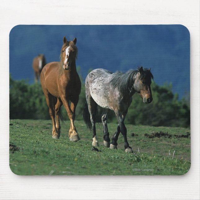 Wilde Mustang-Pferde Mousepad (Vorne)
