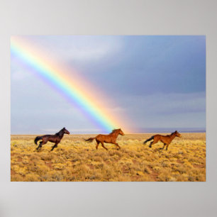 Wilde Mustang Pferde Running und Regenbogen Poster