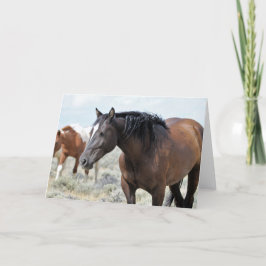 Wilde Mustangs aus dem Westen Karte