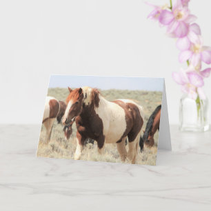 Wilde Mustangs aus dem Westen Karte
