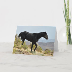 Wilde Mustangs aus dem Westen Karte