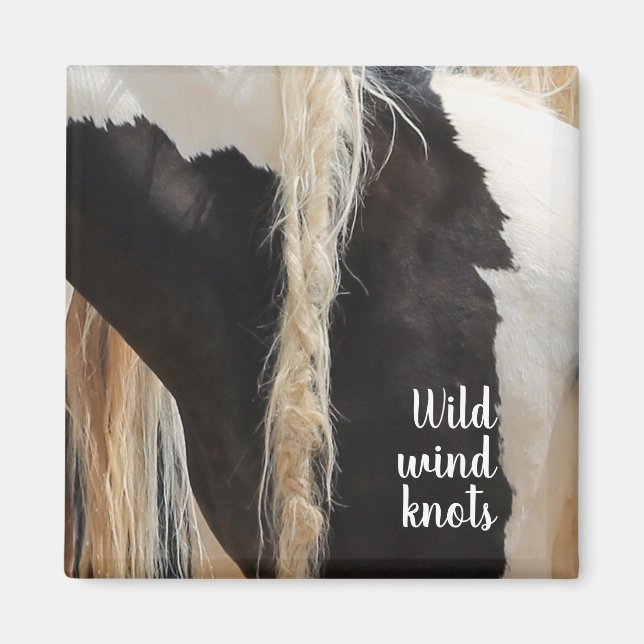 Wilde Mustangs aus den West Wind Knots Magnet (Vorne)