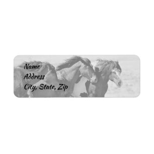 Wilde Mustangs der Westadresse