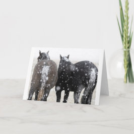 Wilde Mustangs in der Schneekarte Karte