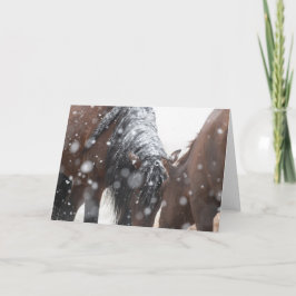 Wilde Mustangs in der Schneekarte Karte