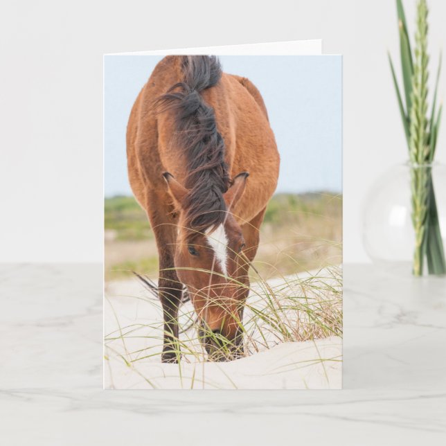 Wilde Mustangs oder Banker-Pferde Karte (Vorderseite)