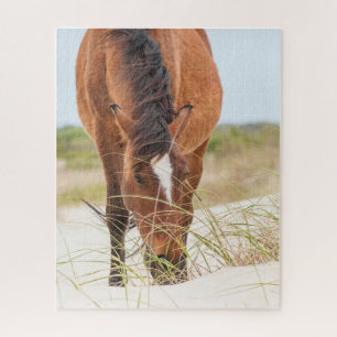 Wilde Mustangs oder Banker-Pferde Puzzle