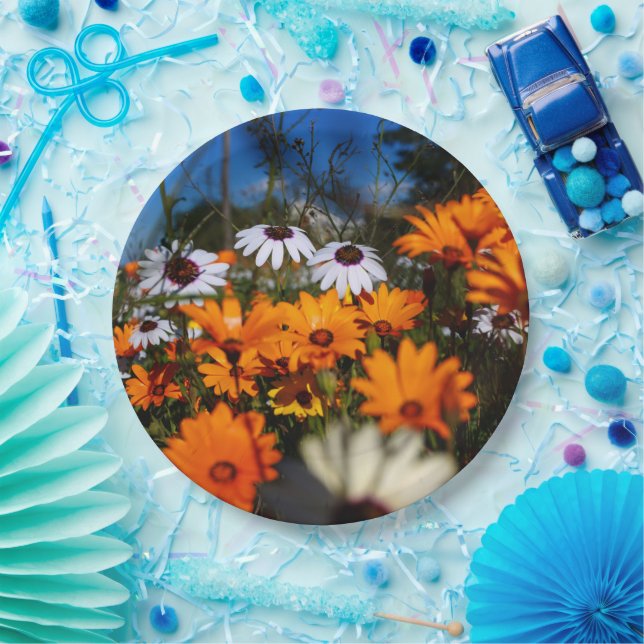 Wilde Namaqualand-Blume Pappteller (Party)