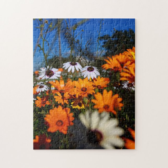 Wilde Namaqualand-Blume Puzzle (Vertikal)