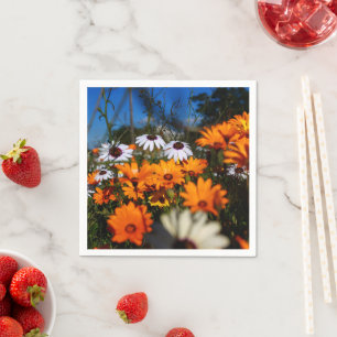 Wilde Namaqualand-Blume Serviette