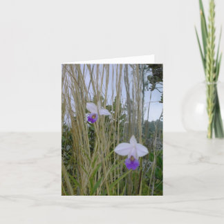 Wilde Orchid-Notecards, Big Island, Hawaii Karte