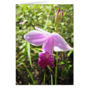 Wilde Orchidee - besonders angefertigt