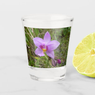 Wilde Orchidee Lila Tropische Blume Schnapsglas