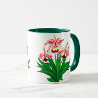 Wilde Orchideen - Coral Pink Orchids and Foliage
