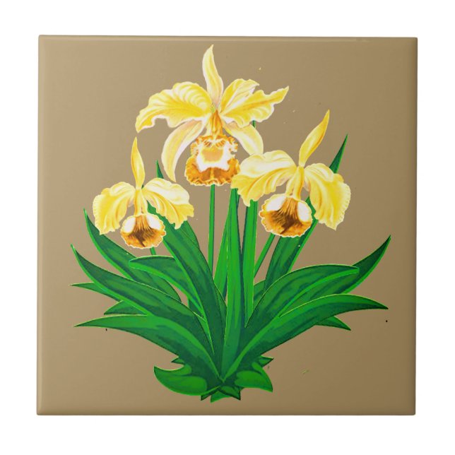 Wilde Orchideen - Goldene gelbe Orchideen und Foli Fliese (Vorderseite)
