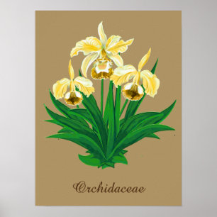Wilde Orchideen - Goldene gelbe Orchideen und Foli Poster