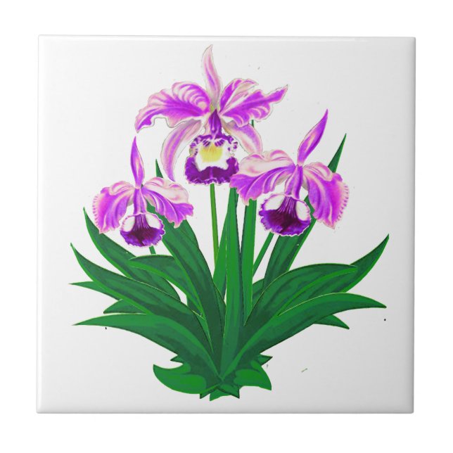 Wilde Orchideen - Lila Orchideen und Foliage Fliese (Vorderseite)