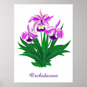 Wilde Orchideen - Lila Orchideen und Foliage Poster