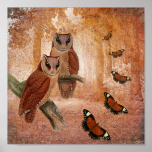 Wilde Owls und Schmetterlinge Poster