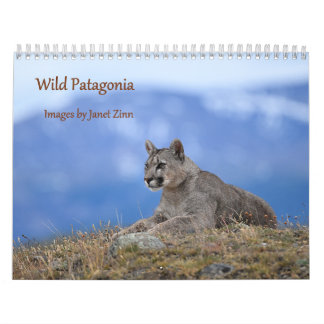 Wilde Patagonien: Pumas und Wildtiere Kalender