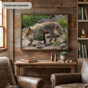 Wilde Pause: Fuchs im Morgenlicht Poster